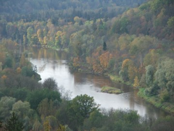 Gauja
