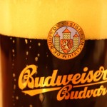 Tumšais Budweiser
